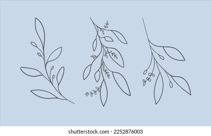 Eucalyptus set line art on blue background. Eucalyptus leaves outline. Floral vector illustration