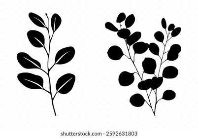 Eucalyptus Silhouette Vector Black Clipart