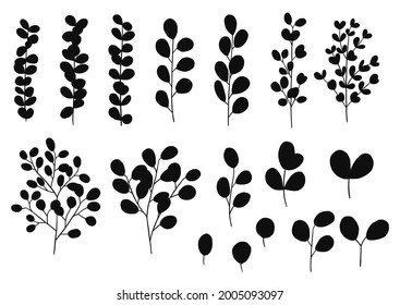 Eucalyptus silhouettes set. Good for banner, poster, flyer, greeting card, web design, print design. Vector illustration.