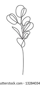 Eucalyptus Silver Dollar Branch Continuous Line Drawing. One Line Minimalism Art