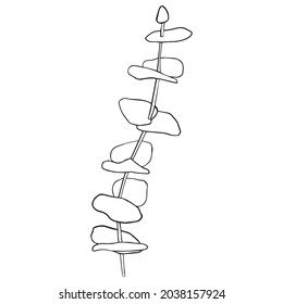 Eucalyptus silver dollar branch continuous line drawing. One line minimalism art