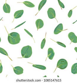 Eucalyptus silver dollar greenery, gum tree foliage natural leaves designer art tropical elements  hand drawn background in watercolor style. Vector decorative beautiful elegant illustration
