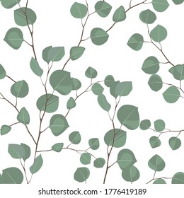Eucalyptus silver dollar tree foliage natural branches with green leaves tropical seamless pattern. Decorative  elegant greenery illustration isolated white background.