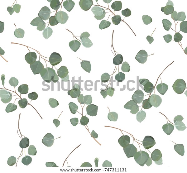 ユーカリの銀色の葉と熱帯のシームレスな模様 水彩柄の緑の葉を持つ自然の枝 白い背景にベクター画像の装飾的でかわいいエレガントな緑のイラスト のベクター画像素材 ロイヤリティフリー