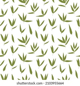 Eucalyptus simple leaves vector seamless pattern background