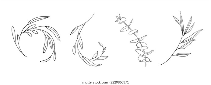 Eucalyptus sprig leaves line art collection on white background. Vector eucalyptus illustration. Spring leaves isolated on white background