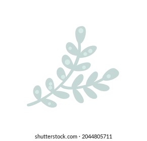 Eucalyptus tree branches natural leaves. Designer art tropical elements hand drawn in scandinavian style. Vector decorative beautiful elegant illustration.