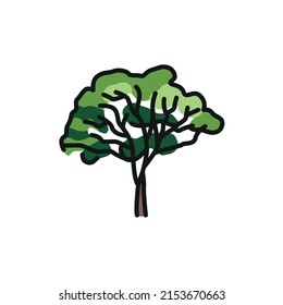 Eucalyptus tree color line icon. Pictogram for web page, mobile app, promo.