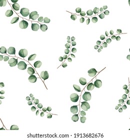 Eucalyptus tree foliage natural branches with green leaves tropical background, watercolor style. Vector seamless illustration, decorative cute elegant greenery on a white background