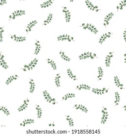 Eucalyptus tree foliage natural branches with green leaves tropical background, watercolor style. Vector seamless illustration, decorative cute elegant greenery on a white background