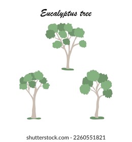 Eucalyptus tree icon set, flat style vector