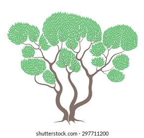 Eucalyptus Tree. Isolated Eucalyptus On White Background. EPS 10. Vector Illustration