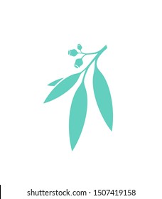 Eucalyptus tree. Logo. Eucalyptus branch on white background. Gum leaf