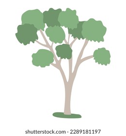Árbol de eucalipto con corona exuberante, vector de estilo plano