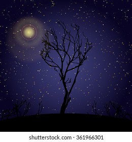 Eucalyptus tree silhouette against starry night. Nature concept. Countryside abstract landscape. Isolated vector illustration.