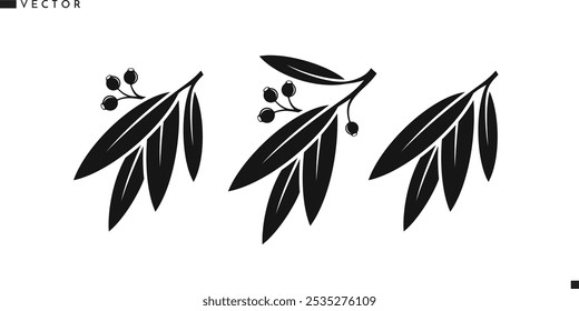 Silueta del árbol de eucalipto. Rama de eucalipto aislada con hojas. Vector del árbol de goma