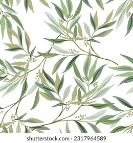 Eucalyptus twigs and leaves, white background. Floral illustration. Vector seamless pattern. Botanical design. Nature summer plant