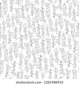 Eucalyptus twigs on white background. Hand-drawn vector illustration. Seamless pattern.