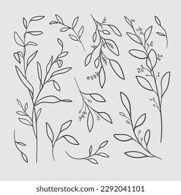 Eucalyptus twigs set in line art style on a beige background. Сontour minimalistic twigs. Design for wedding card template. Vector illustration