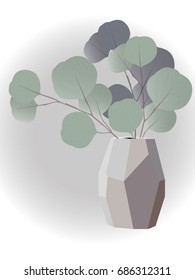 Eucalyptus in vase vector illustration