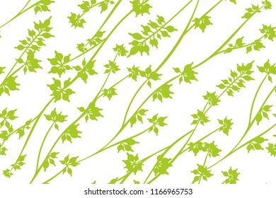 Eucalyptus Vector. Colorful Seamless Pattern with Vector Leaves, Branches and Floral Elements. Elegant Background for Wedding Design, Fabric, Textile, Dress. Eucalyptus Vector in Watercolor Style.