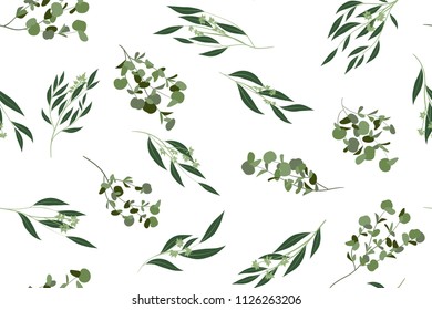 Eucalyptus Vector. Cute Seamless Pattern with Vector Leaves, Branches and Floral Elements. Elegant Cute Background for Rustic Wedding Design, Fabric, Textile, Dress. Eucalyptus Vector in Vintage Style