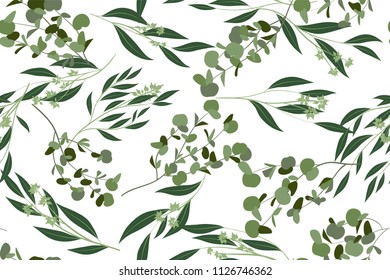 Eucalyptus Vector. Cute Seamless Pattern with Vector Leaves, Branches and Floral Elements. Elegant Cute Background for Rustic Wedding Design, Fabric, Textile, Dress. Eucalyptus Vector in Vintage Style