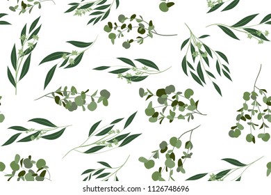 Eucalyptus Vector. Cute Seamless Pattern with Vector Leaves, Branches and Floral Elements. Elegant Cute Background for Rustic Wedding Design, Fabric, Textile, Dress. Eucalyptus Vector in Vintage Style
