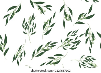 Eucalyptus Vector. Cute Seamless Pattern with Vector Leaves, Branches and Floral Elements. Elegant Cute Background for Rustic Wedding Design, Fabric, Textile, Dress. Eucalyptus Vector in Vintage Style