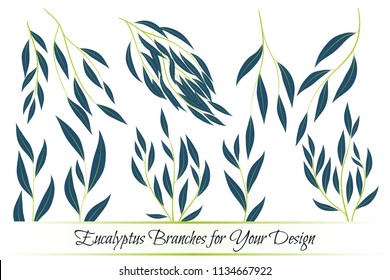 Eucalyptus Vector. Decorative Vector Leaves and Branches. Elegant Foliage. Beautiful Floral Element for Wedding Design. Tropical Plants. Eucalyptus Vector for Card, Invitation, Pattern, Print, Wreath.