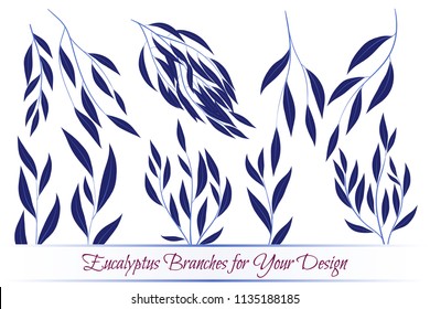 Eucalyptus Vector. Decorative Vector Leaves and Branches. Elegant Foliage. Beautiful Floral Element for Wedding Design. Tropical Plants. Eucalyptus Vector for Card, Invitation, Pattern, Print, Wreath.