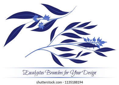 Eucalyptus Vector. Decorative Vector Leaves and Branches. Elegant Foliage. Beautiful Floral Element for Wedding Design. Tropical Plants. Eucalyptus Vector for Card, Invitation, Pattern, Print, Wreath.