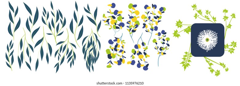 Eucalyptus Vector. Decorative Vector Leaves and Branches. Elegant Foliage. Beautiful Floral Element for Wedding Design. Tropical Plants. Eucalyptus Vector for Card, Invitation, Pattern, Print, Wreath.