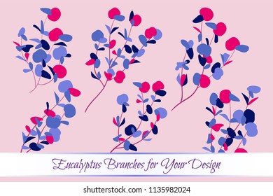 Eucalyptus Vector. Decorative Vector Leaves and Branches. Elegant Foliage. Beautiful Floral Element for Wedding Design. Tropical Plants. Eucalyptus Vector for Card, Invitation, Pattern, Print, Wreath.