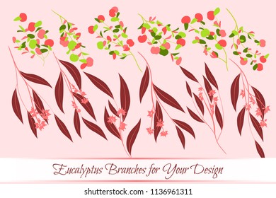 Eucalyptus Vector. Decorative Vector Leaves and Branches. Elegant Foliage. Beautiful Floral Element for Wedding Design. Tropical Plants. Eucalyptus Vector for Card, Invitation, Pattern, Print, Wreath.