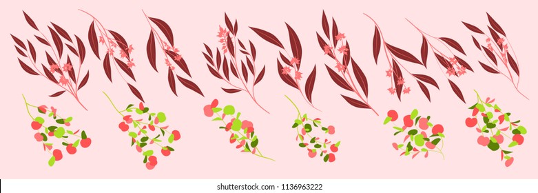 Eucalyptus Vector. Decorative Vector Leaves and Branches. Elegant Foliage. Beautiful Floral Element for Wedding Design. Tropical Plants. Eucalyptus Vector for Card, Invitation, Pattern, Print, Wreath.