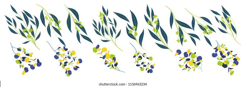 Eucalyptus Vector. Decorative Vector Leaves and Branches. Elegant Foliage. Beautiful Floral Element for Wedding Design. Tropical Plants. Eucalyptus Vector for Card, Invitation, Pattern, Print, Wreath.