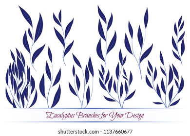 Eucalyptus Vector. Decorative Vector Leaves and Branches. Elegant Foliage. Beautiful Floral Element for Wedding Design. Tropical Plants. Eucalyptus Vector for Card, Invitation, Pattern, Print, Wreath.
