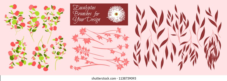 Eucalyptus Vector. Decorative Vector Leaves and Branches. Elegant Foliage. Beautiful Floral Element for Wedding Design. Tropical Plants. Eucalyptus Vector for Card, Invitation, Pattern, Print, Wreath.