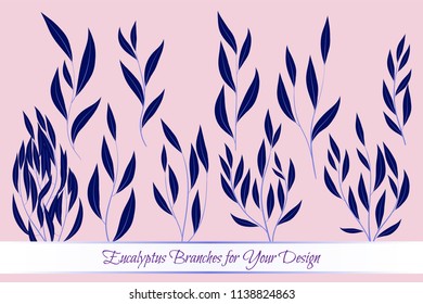 Eucalyptus Vector. Decorative Vector Leaves and Branches. Elegant Foliage. Beautiful Floral Element for Wedding Design. Tropical Plants. Eucalyptus Vector for Card, Invitation, Pattern, Print, Wreath.