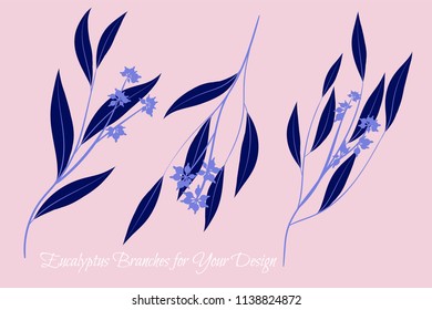 Eucalyptus Vector. Decorative Vector Leaves and Branches. Elegant Foliage. Beautiful Floral Element for Wedding Design. Tropical Plants. Eucalyptus Vector for Card, Invitation, Pattern, Print, Wreath.