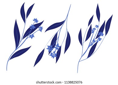 Eucalyptus Vector. Decorative Vector Leaves and Branches. Elegant Foliage. Beautiful Floral Element for Wedding Design. Tropical Plants. Eucalyptus Vector for Card, Invitation, Pattern, Print, Wreath.