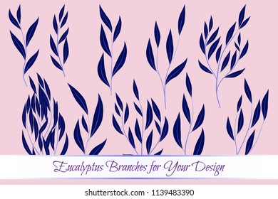 Eucalyptus Vector. Decorative Vector Leaves and Branches. Elegant Foliage. Beautiful Floral Element for Wedding Design. Tropical Plants. Eucalyptus Vector for Card, Invitation, Pattern, Print, Wreath.