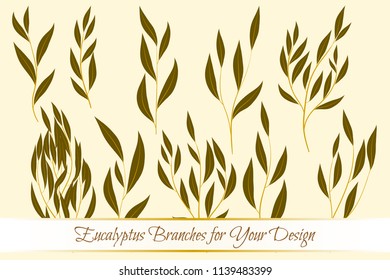 Eucalyptus Vector. Decorative Vector Leaves and Branches. Elegant Foliage. Beautiful Floral Element for Wedding Design. Tropical Plants. Eucalyptus Vector for Card, Invitation, Pattern, Print, Wreath.