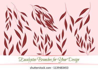 Eucalyptus Vector. Decorative Vector Leaves and Branches. Elegant Foliage. Beautiful Floral Element for Wedding Design. Tropical Plants. Eucalyptus Vector for Card, Invitation, Pattern, Print, Wreath.