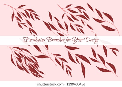 Eucalyptus Vector. Decorative Vector Leaves and Branches. Elegant Foliage. Beautiful Floral Element for Wedding Design. Tropical Plants. Eucalyptus Vector for Card, Invitation, Pattern, Print, Wreath.