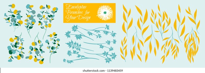 Eucalyptus Vector. Decorative Vector Leaves and Branches. Elegant Foliage. Beautiful Floral Element for Wedding Design. Tropical Plants. Eucalyptus Vector for Card, Invitation, Pattern, Print, Wreath.