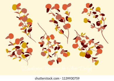Eucalyptus Vector. Decorative Vector Leaves and Branches. Elegant Foliage. Beautiful Floral Element for Wedding Design. Tropical Plants. Eucalyptus Vector for Card, Invitation, Pattern, Print, Wreath.