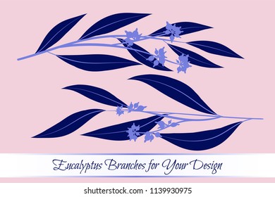 Eucalyptus Vector. Decorative Vector Leaves and Branches. Elegant Foliage. Beautiful Floral Element for Wedding Design. Tropical Plants. Eucalyptus Vector for Card, Invitation, Pattern, Print, Wreath.