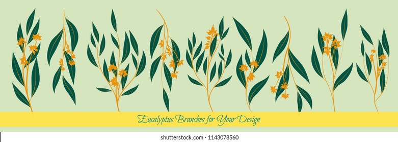 Eucalyptus Vector. Decorative Vector Leaves and Branches. Elegant Foliage. Beautiful Floral Element for Wedding Design. Tropical Plants. Flowers Isolated and Eucalyptus Vector for Card, Invitation.